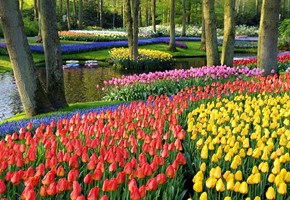 Europe’s Must See Gardens