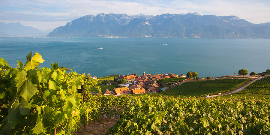 Sampling Lavaux wines in view of Lake Geneva